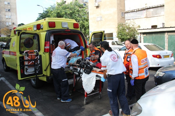 fall from above (1).JPG